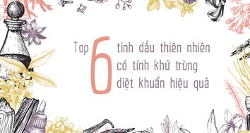 6 tinh dầu thiên nhiên có tính khử trùng diệt khuẩn hiệu quả