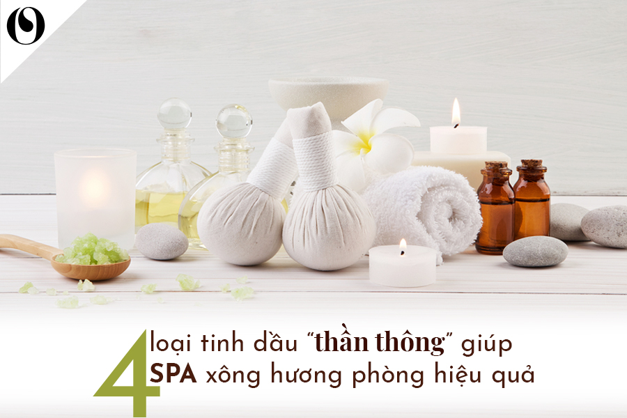 4 Loại tinh dầu THẦN THÔNG giúp SPA xông hương hiệu quả